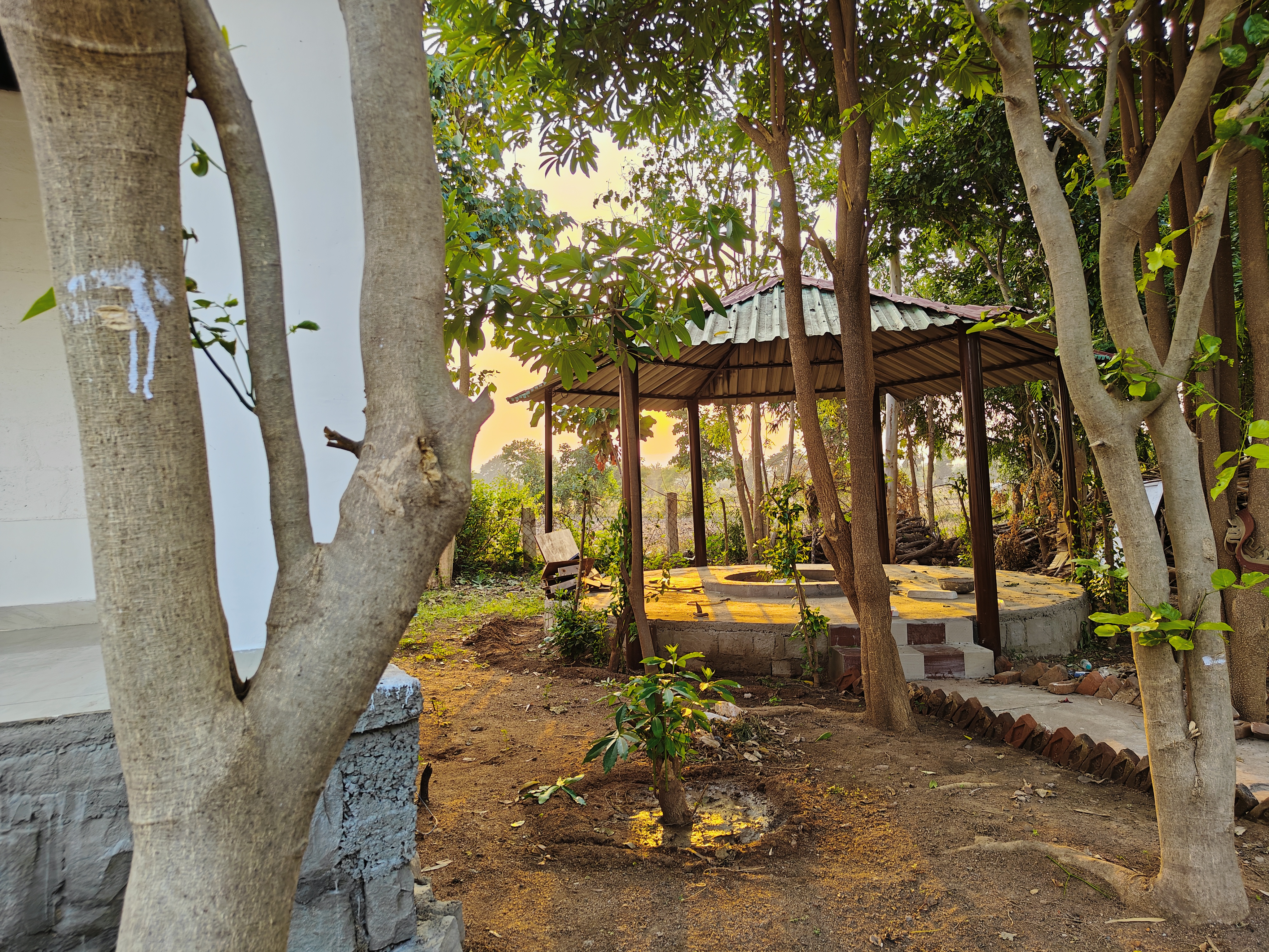 Bird watching near Ken River