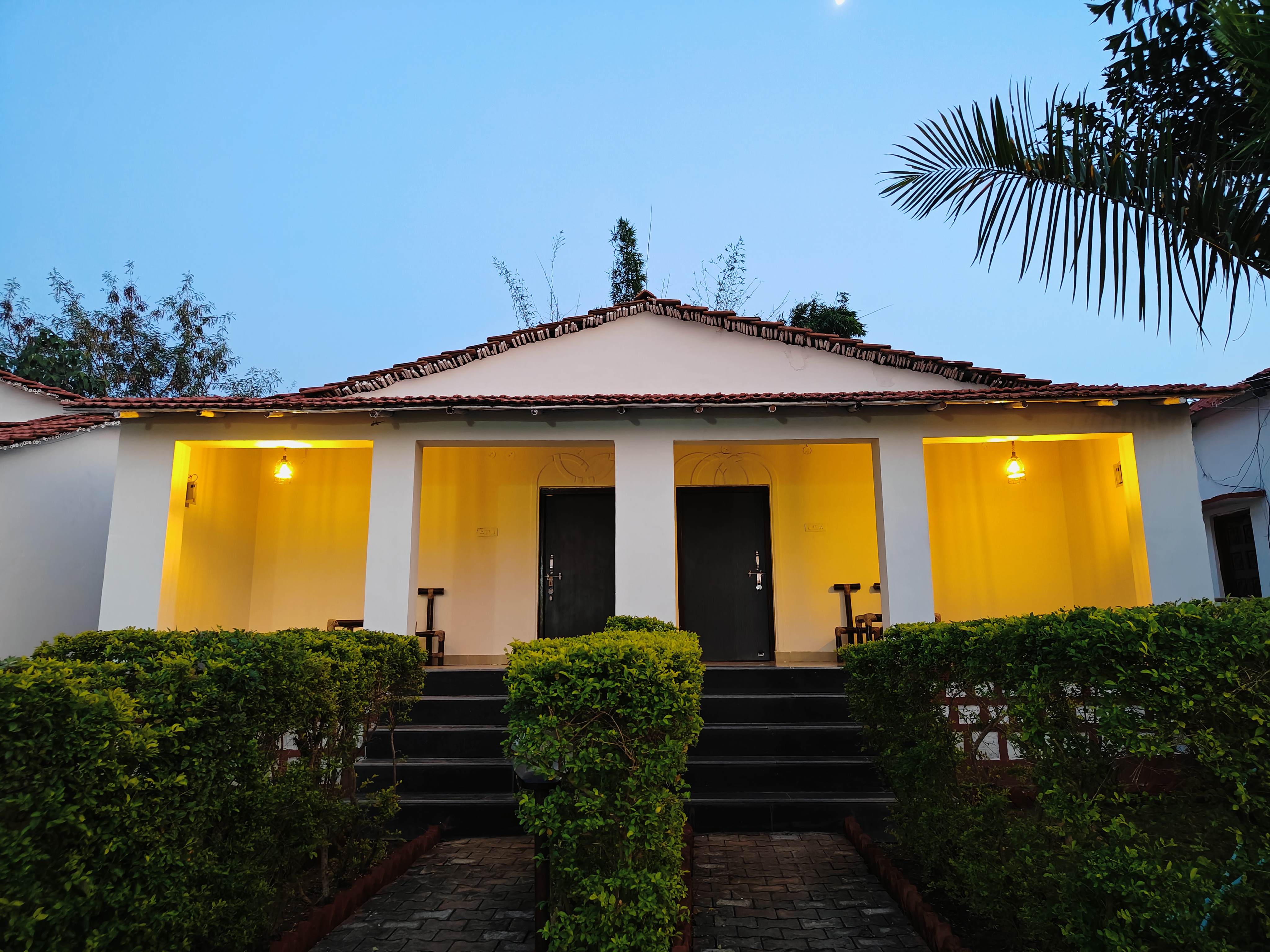 Nature walk through the forest